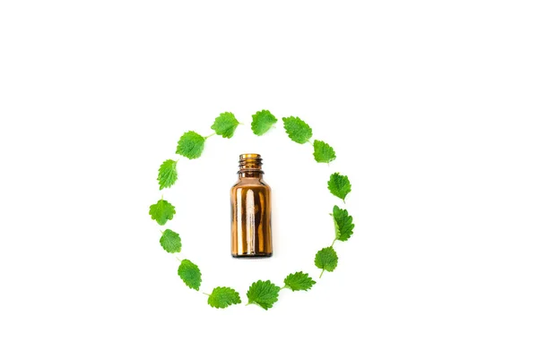 Top View Bottle Frame Green Fresh Leaves Isolated White — Stock Photo, Image