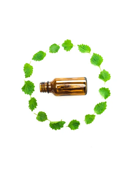 Top View Bottle Circle Green Fresh Leaves Isolated White — Stock Photo, Image