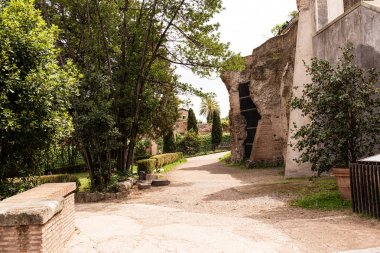 roma güneşli bir günde eski binanın yakınında yeşil ağaçlar ve çalılar, İtalya