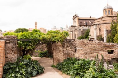 Roma, İtalya - 28 Haziran 2019: Roma'da antik binalar, tuğla duvarlar ve yeşil bitkiler, İtalya