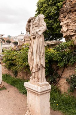 Roma, İtalya - 28 Haziran 2019: eski duvar ve yeşil bitkilerin yakınında antik başsız heykel