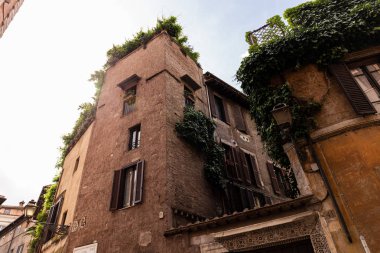 Roma, İtalya'da yeşil bitkiler ile binaların alt görünümü