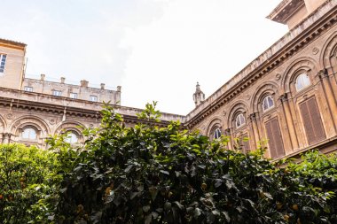 Roma, İtalya - 28 Haziran 2019: Roma,İtalya'daki eski binaların önünde limonlu ve mandalinalı meyve ağaçları