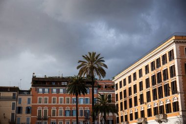 roma, İtalya bulutlu gökyüzü altında binalar ve egzotik palmiye ağaçları