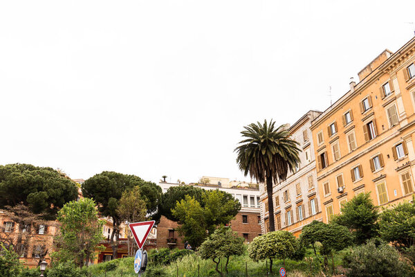 road sign, green trees and bushes near colorful buildings in rome, italy