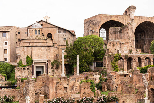 ROME, ITALY - JUNE 28, 2019: people at ancient ruined buildings near green trees 