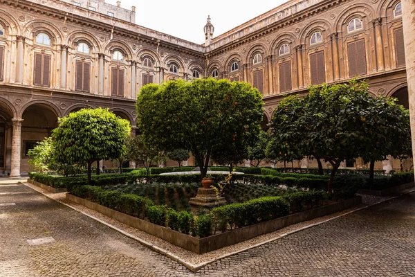 Roma Italia Iunie 2019 Clădiri Antice Copaci Verzi — Fotografie, imagine de stoc