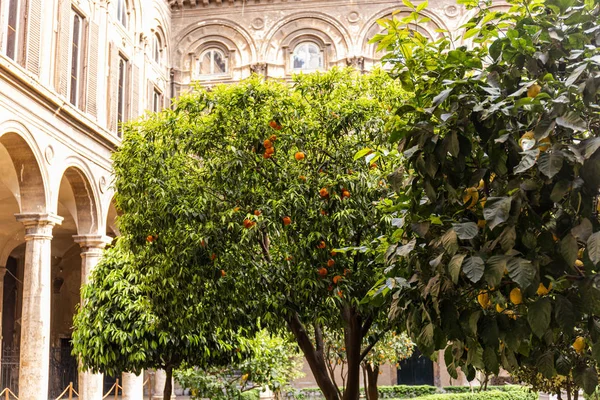 Roma Italia Junio 2019 Árboles Frutales Con Limones Mandarinas Frente — Foto de Stock