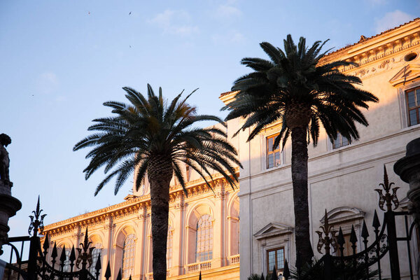 ROME, ITALY - JUNE 28, 2019: buildings and exotic palm trees