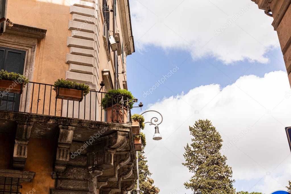 buildings with plants in flowerpots in rome, italy