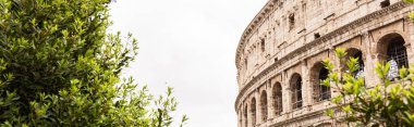 ROME, ITALY - JUNE 28, 2019: panoramic shot of old ruins of colosseum clipart