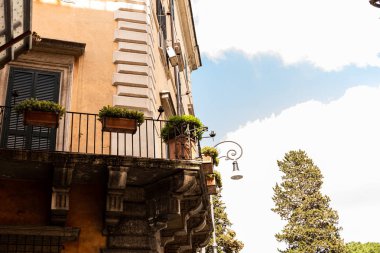 Roma, İtalya'da saksılarda yeşil bitkiler ile bina