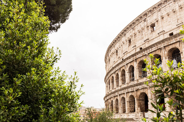 ROME, ITALY - JUNE 28, 2019: panoramic shot of old ruins of colosseum