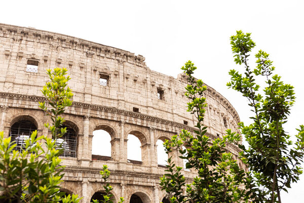 ROME, ITALY - JUNE 28, 2019: ruins of colosseum and green trees under grey sky