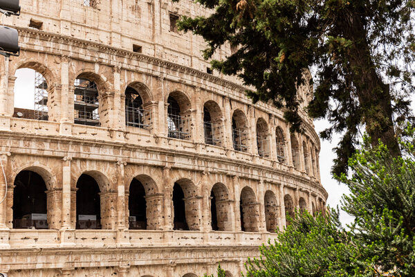 ROME, ITALY - JUNE 28, 2019: colosseum and green trees under grey sky