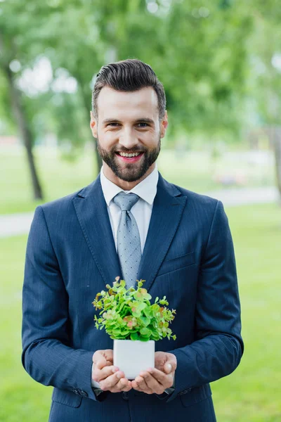 公園に立っている植木鉢の植物を持つ若いハンサムなビジネスマン — ストック写真