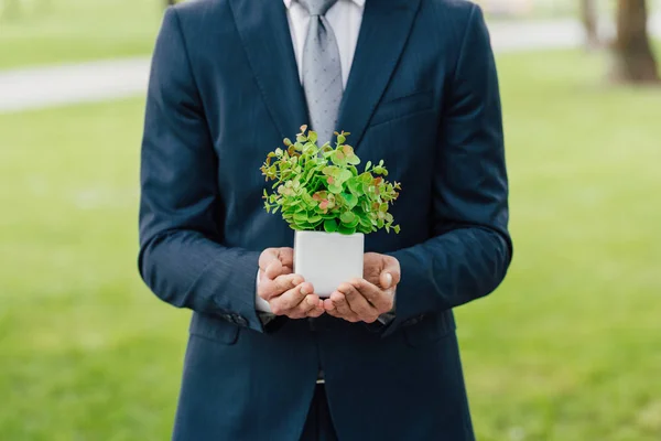 Vue Recadrée Jeune Homme Affaires Avec Plante Pot Fleurs Debout — Photo