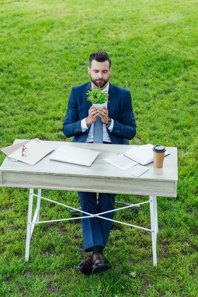 High Angle View Young Businessman Holding Plant Flowerpot Sitting Table — Stock Photo, Image