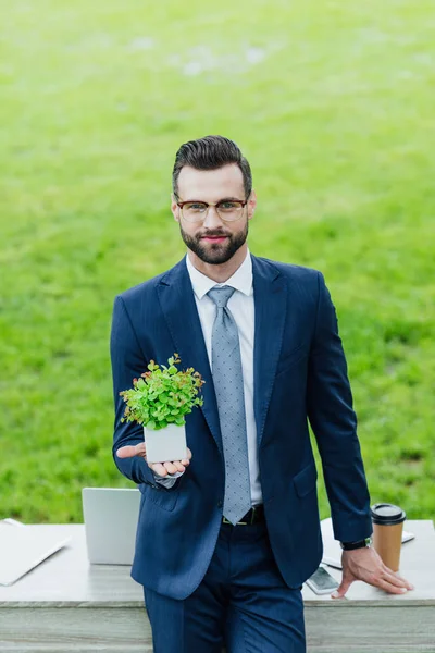 Молодой Бизнесмен Представляет Белый Цветочный Горшок Растением Стоя Возле Белого — стоковое фото