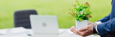 panoramic shot of man holding flowerpot in park near white table with office stuff clipart