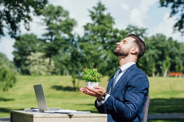 Side View Businessman Closed Eyes Holding Flowerpot While Sitting Park — Stock Photo, Image