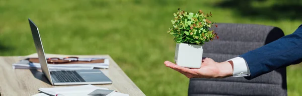Panoramic Shot Man Holding Flowerpot Plant Standing Park Table Laptop — Stock Photo, Image
