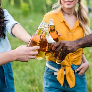 bira ile şişe klinking çok kültürlü erkek ve kadın kırpılmış görünümü 