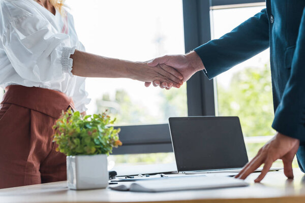 selective focus of employee and recruiter shaking hands near green plant 