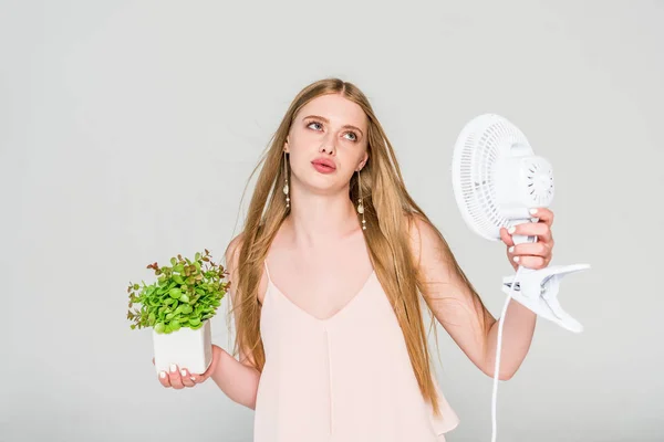 Elektromos Ventilátorral Virágcserép Hővel Szenvedő Gyönyörű Fiatal Aki Szürkére Izolált — Stock Fotó