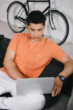 evde kanepede otururken dizüstü bilgisayar kullanarak konsantre Asuan adam