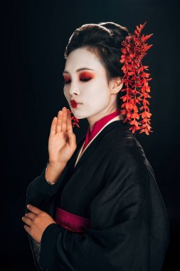 siyah ve kırmızı kimono güzel geyşa ve siyah izole yüzü yakın el ile saç çiçekleri