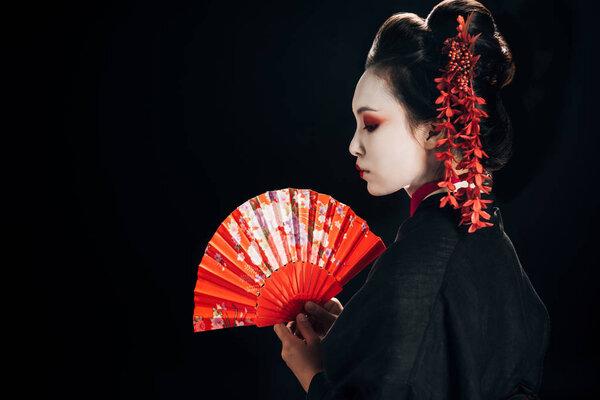 side view of beautiful geisha in black kimono with red flowers in hair holding traditional hand fan isolated on black