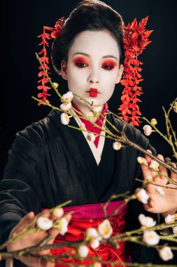siyah siyah izole sakura dalları dokunmadan saç kırmızı çiçekler ile siyah kimono güzel geyşa seçici odak