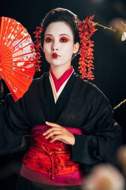 siyah kimono güzel geyşa seçici odak saç el fan ve siyah izole sakura dalları tutan kırmızı çiçekler ile