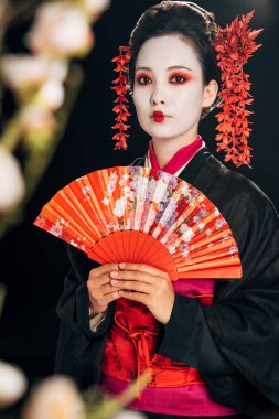 siyah kimono güzel geyşa seçici odak saç el fan ve siyah izole sakura dalları tutan çiçekler ile