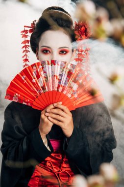 siyah kimono güzel geyşa seçici odak duman yüz ve sakura dalları önünde el fan tutarak saç çiçekleri ile