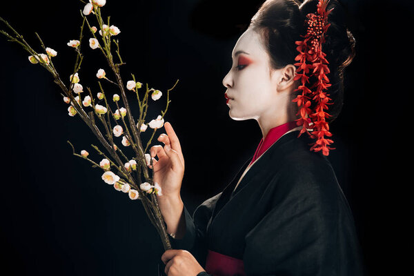 side view of beautiful geisha in black kimono with red flowers in hair holding sakura branches isolated on black