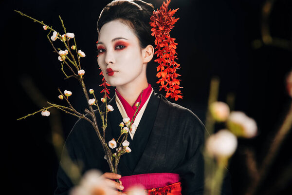 selective focus of beautiful geisha in black kimono with red flowers in hair holding sakura branches isolated on black