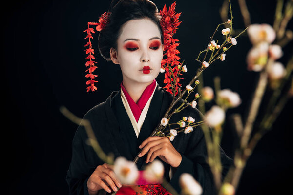 selective focus of beautiful geisha in black kimono with red flowers in hair looking away and sakura branches isolated on black
