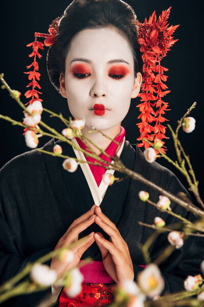 selective focus of beautiful geisha in black kimono with red flowers in hair looking at sakura branches isolated on black