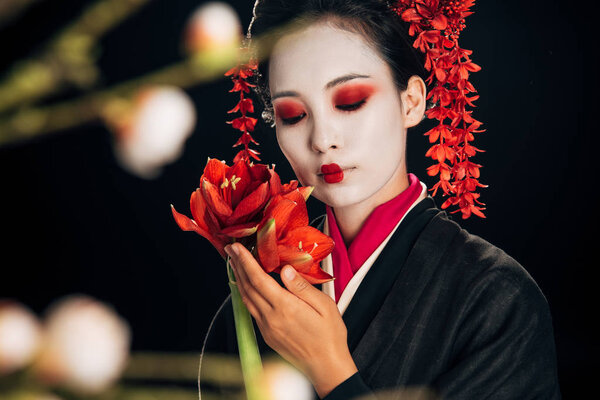 selective focus of geisha in black kimono with red flowers and sakura branches isolated on black