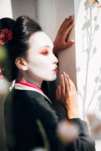 selective focus of sakura branches and beautiful geisha near wall in sunlight