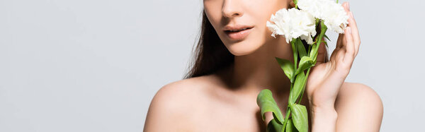 cropped view of naked beautiful brunette woman with white carnations isolated on grey