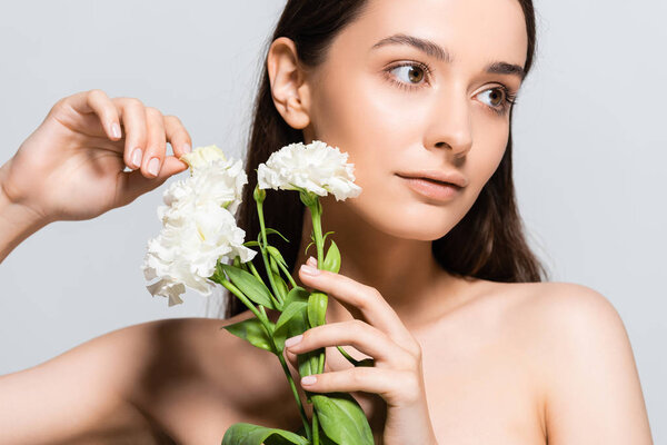 beautiful brunette woman touching white carnations and looking away isolated on grey