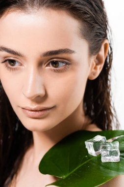 beyaz izole omuz üzerinde buz küpleri ve yeşil yaprak ile güzel ıslak çıplak genç kadın
