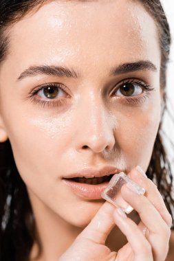beyaz izole dudakları yakınında buz küpü tutan esmer ıslak genç kadın portresi