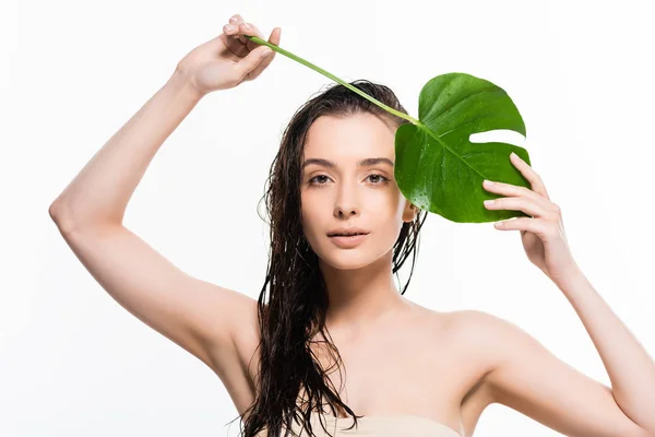 Beautiful Wet Young Woman Posing Green Palm Leaf Water Drops — Stock Photo, Image