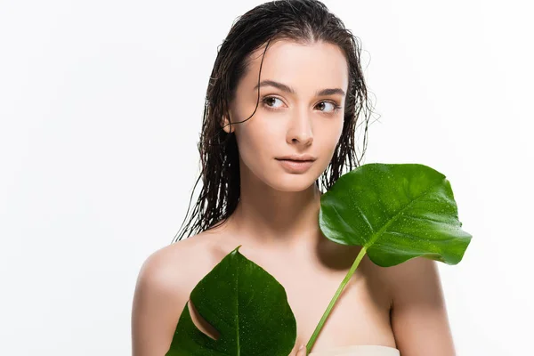 美丽的湿年轻女子望向远方 拿着绿色的棕榈叶与水滴隔离在白色 — 图库照片