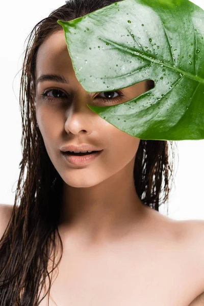 Beautiful Wet Naked Young Woman Holding Green Leaf Isolated White — Stock Photo, Image