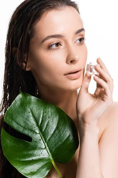 Brunette Wet Young Naked Woman Holding Ice Cube Green Leaf — Stock Photo, Image
